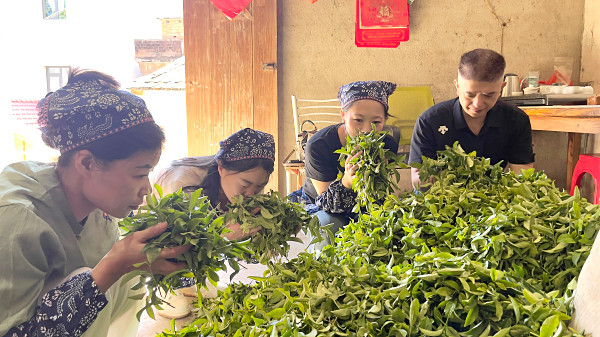附近茶艺师培训学校