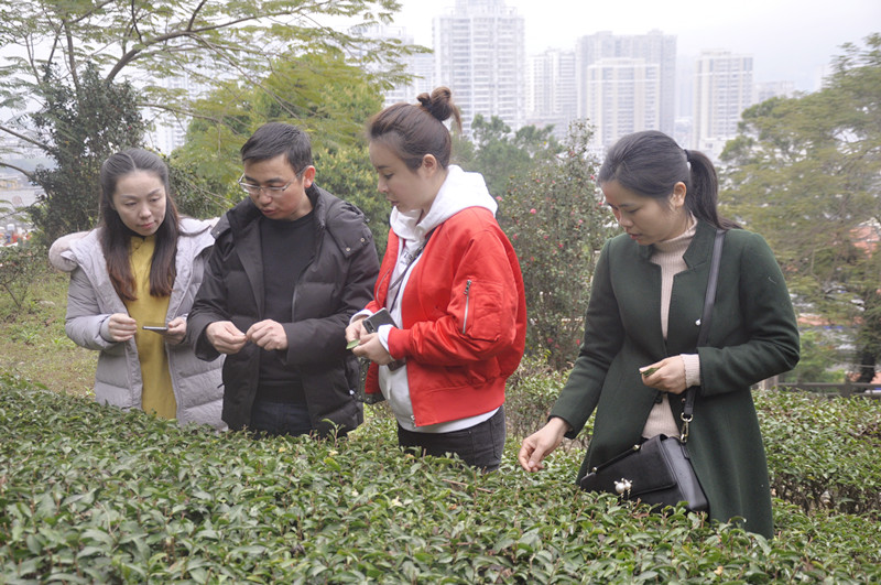 古茶道茶业有限公司对泉州力夫科技茶叶审评设备评测？